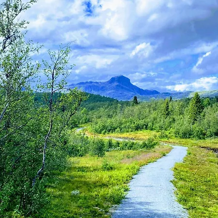 With Panoramic Views In * Beitostolen